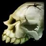 Swampchill Fetish icon