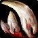Bone Fragments icon