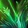 Fel Blossom icon