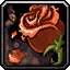 Mageroyal icon
