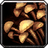 Needle Mushrooms icon