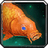 Golden Carp icon