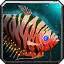 Tiger Gourami icon