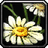 Peacebloom icon