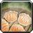 Shrimp Dumplings icon