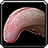 Giant Turtle Tongue icon