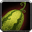 Striped Melon icon