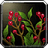 Witchberries icon