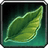 Green Tea Leaf icon