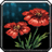 Rain Poppy icon