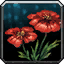 Rain Poppy icon