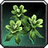 Silkweed icon