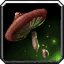Fool's Cap Spores icon