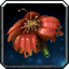 Rain Poppy Petal icon