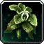 Silkweed Stem icon