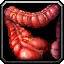 Boar Intestines icon