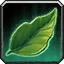 Green Tea Leaf icon
