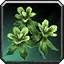 Silkweed icon